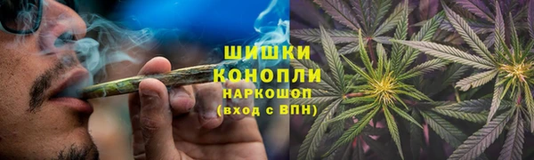 мяу мяу мука Богданович