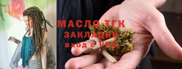 крисы Богородицк