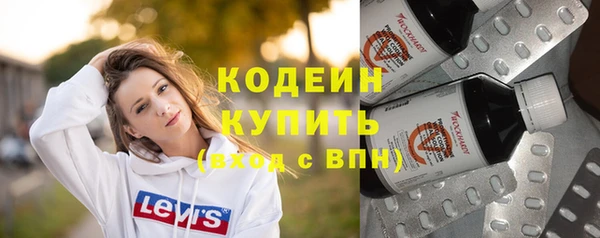 крисы Богородицк