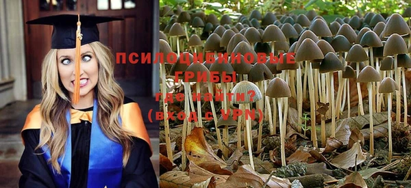 мяу мяу мука Богданович
