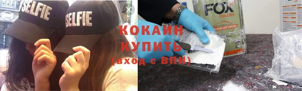 амф Бородино