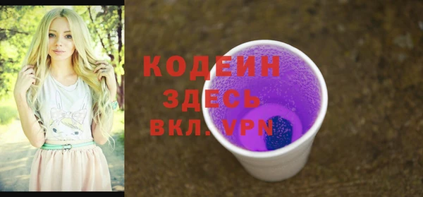 амф Бородино