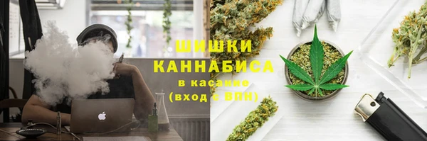 крисы Богородицк