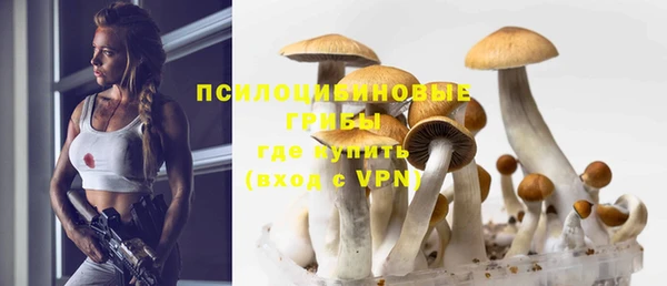 мяу мяу мука Богданович
