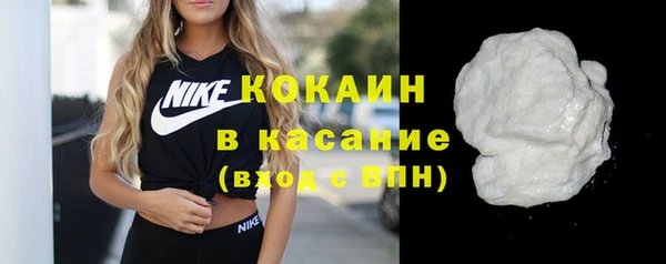 амф Бородино