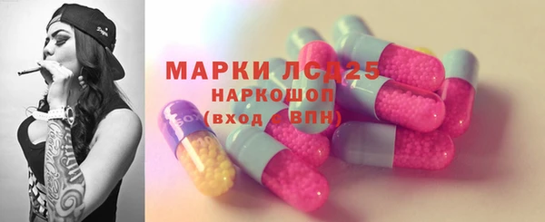 крисы Богородицк