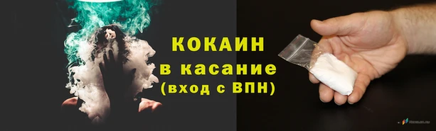 мяу мяу мука Богданович