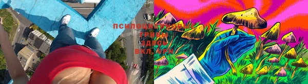 трава Богородск