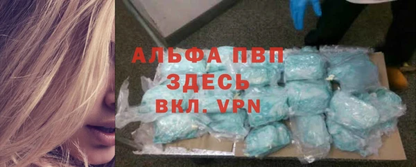 крисы Богородицк