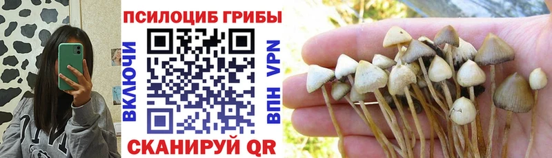 цены наркотик  Баксан  Псилоцибиновые грибы ЛСД 